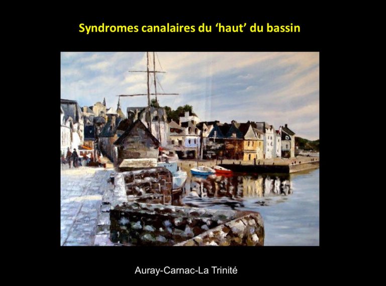 Syndromes canalaires du haut bassin